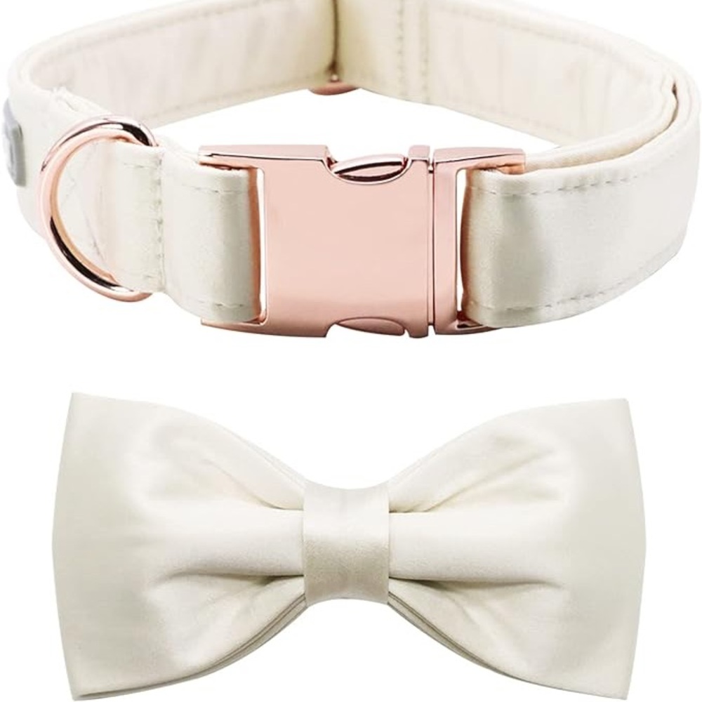 White Dog Collar for Wedding With optional bow tie